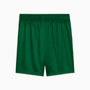 Shorts Palmeiras 2025 II – Torcedor