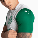 Camisa Puma Palmeiras 2025/26 II - Paulinho N° 10