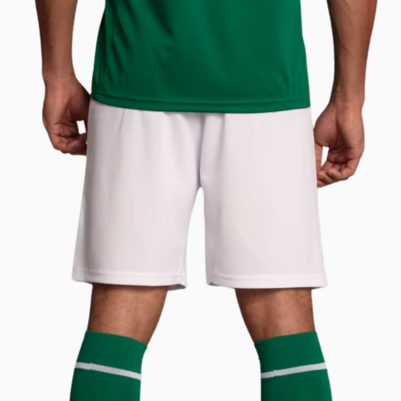 Shorts Palmeiras 2025 I – Torcedor