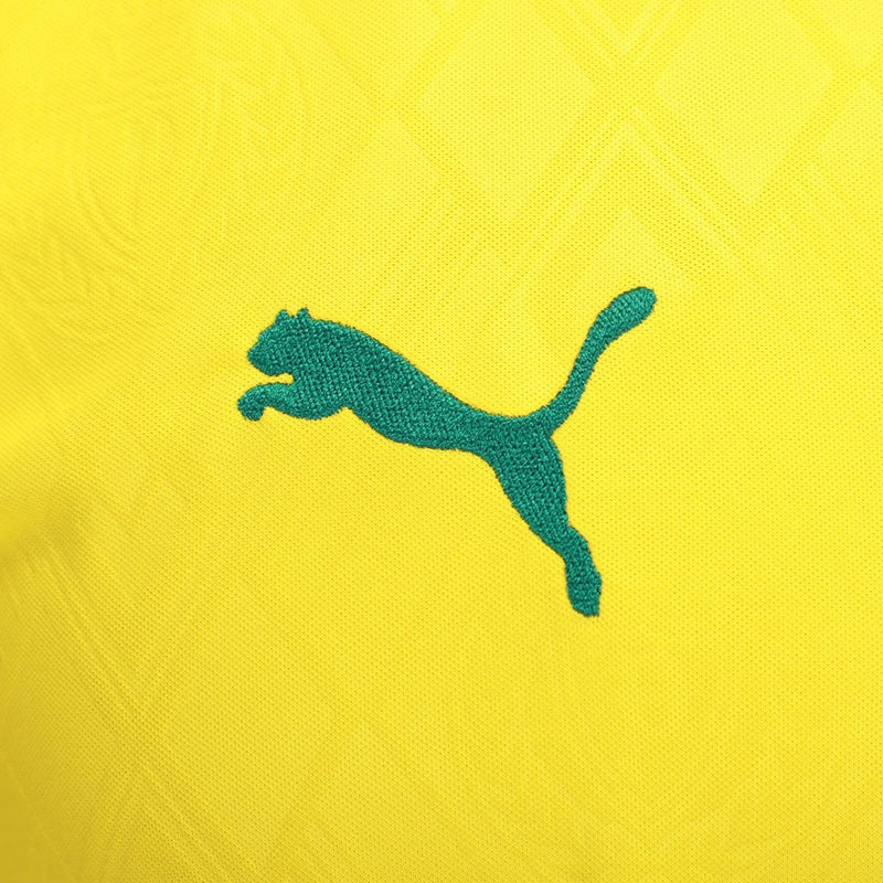 Camisa Puma Palmeiras 2025/26 III Torcedor